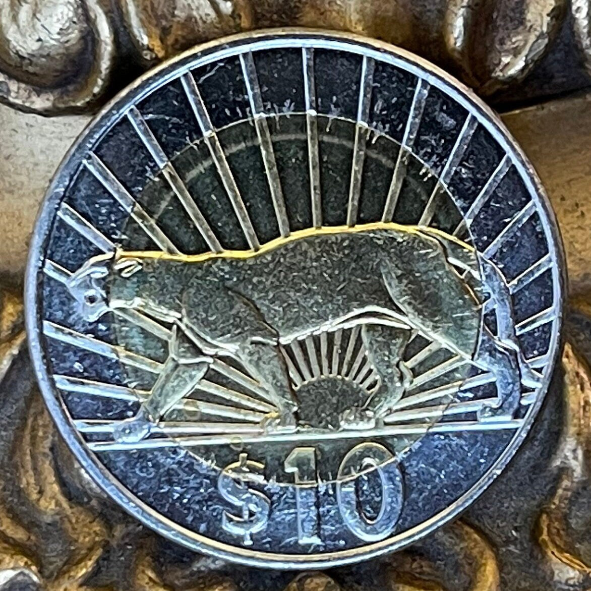 Cougar 10 Pesos Uruguay Authentic Coin Money for Jewelry and Craft Making (Puma) (Mountain Lion) (Panther) (Viracocha) (Bimetallic)