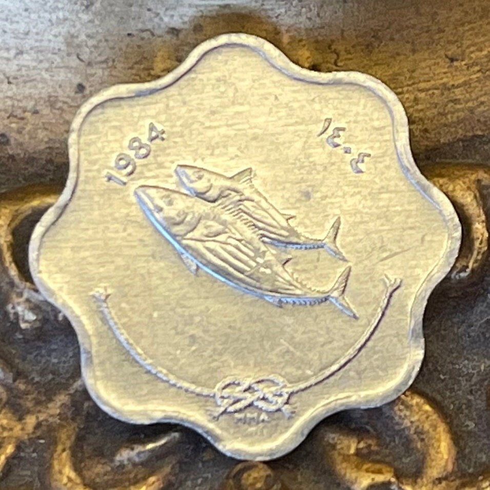 Bonito Fish & Reef Knot 5 Laari Maldives Authentic Coin Money for Jewelry and Craft Making (Scalloped Edge) (8 Notches)