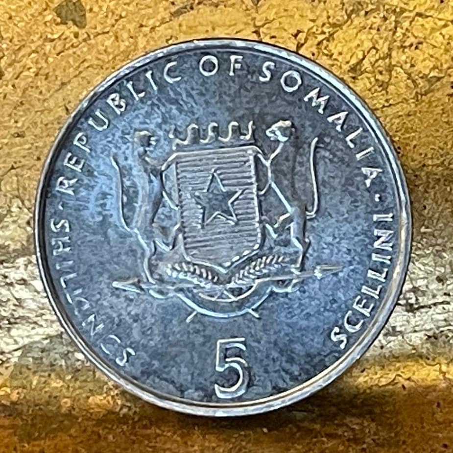 Elephant 5 Shillings Somalia Coin Money for Jewelry and Craft Making