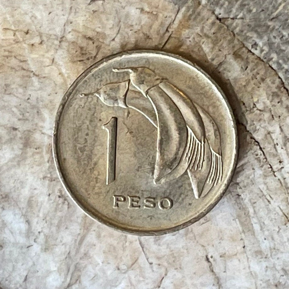 Libertador José Artigas & Cockspur Coral Flower 1 Peso Uruguay Authentic Coin Money for Jewelry (1968) CONDITION: XF (Artiguism)