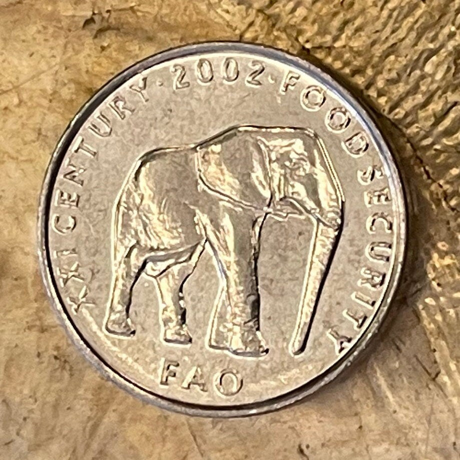 Elephant 5 Shillings Somalia Coin Money for Jewelry and Craft Making