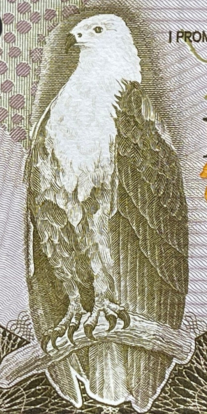 President Kenneth Kaunda and African Eagle & Teacher with Student 2 Kwacha Zambia Authentic Banknote Money for Jewelry and Collage (Kwanzaa)