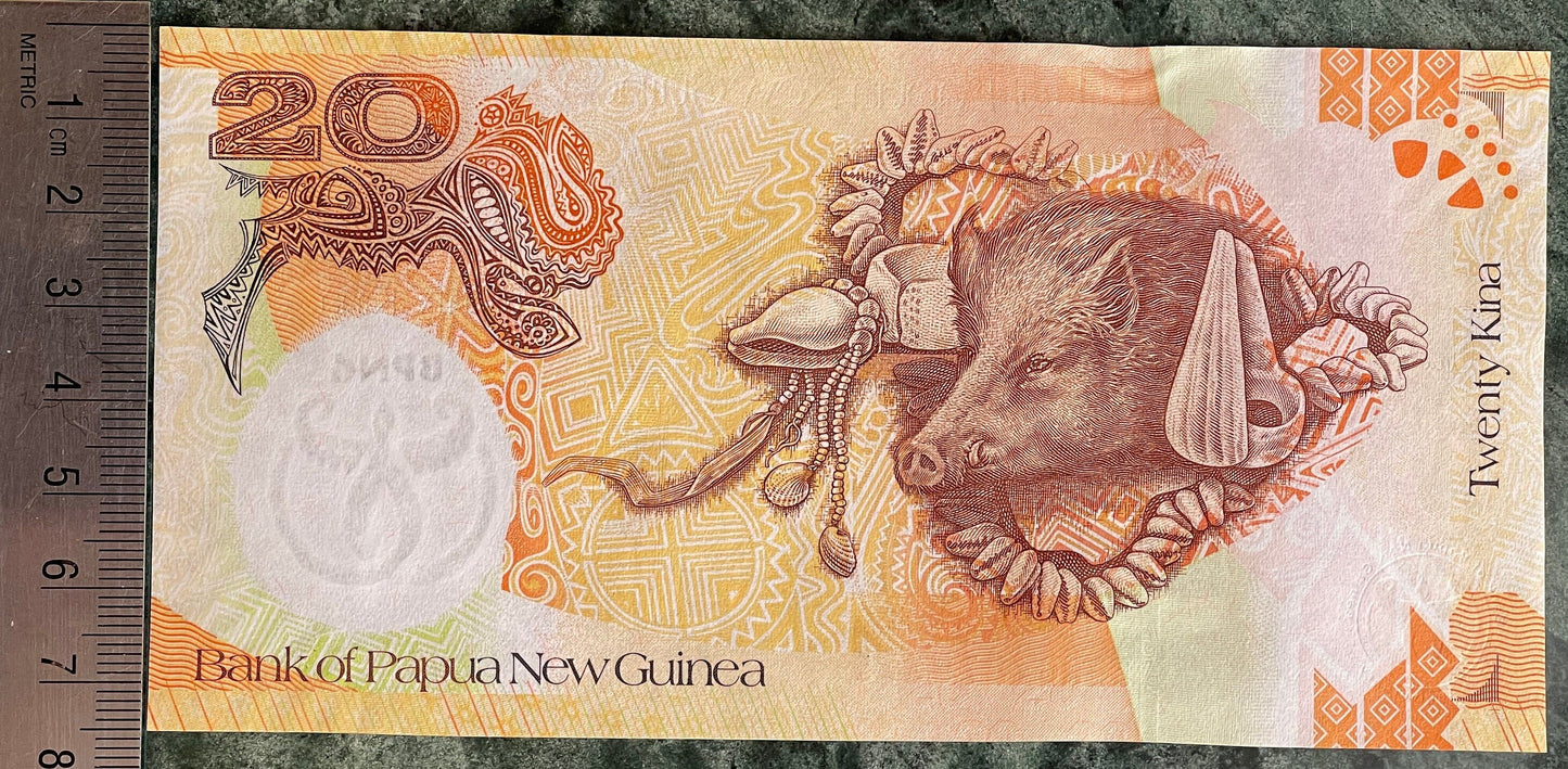 Wild Boar Head & National Parliament House 20 Kina Papua New Guinea Authentic Banknote Money for Jewelry and Collage (Capitalist Pig)