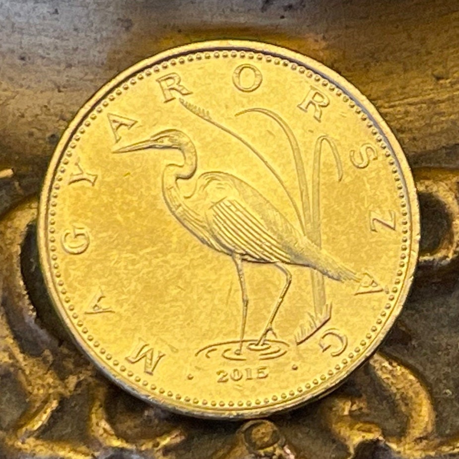 Great Egret 5 Forint Hungary Authentic Coin Money for Jewelry and Craft Making (Great White Heron)