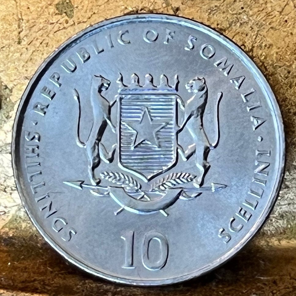 Year of the Dog Chinese Zodiac 10 Shillings Somalia Authentic Coin Money for Jewelry and Crafts 1910·1922·1934·1946·1958·1970·1982·1994·2006