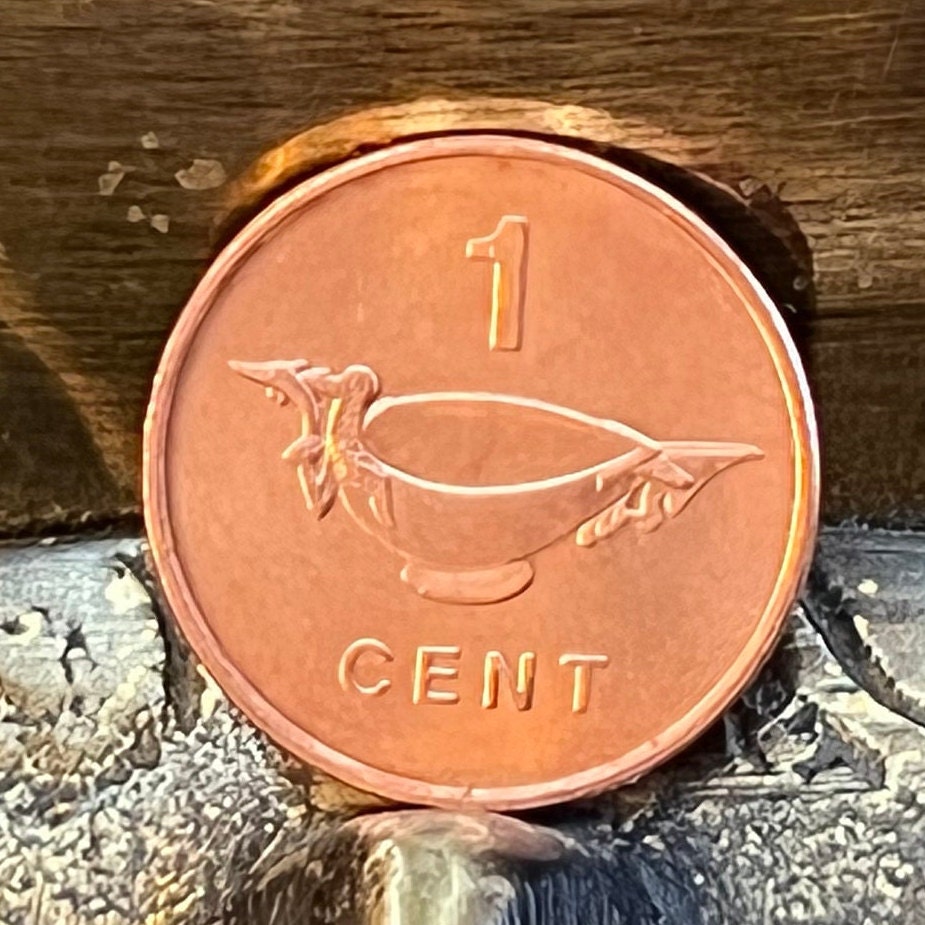Frigatebird Catching Bonito Fish Carved Bowl 1 Cent Solomon Islands Authentic Coin Money for Jewelry and Craft Making (Bonito Fish Society)
