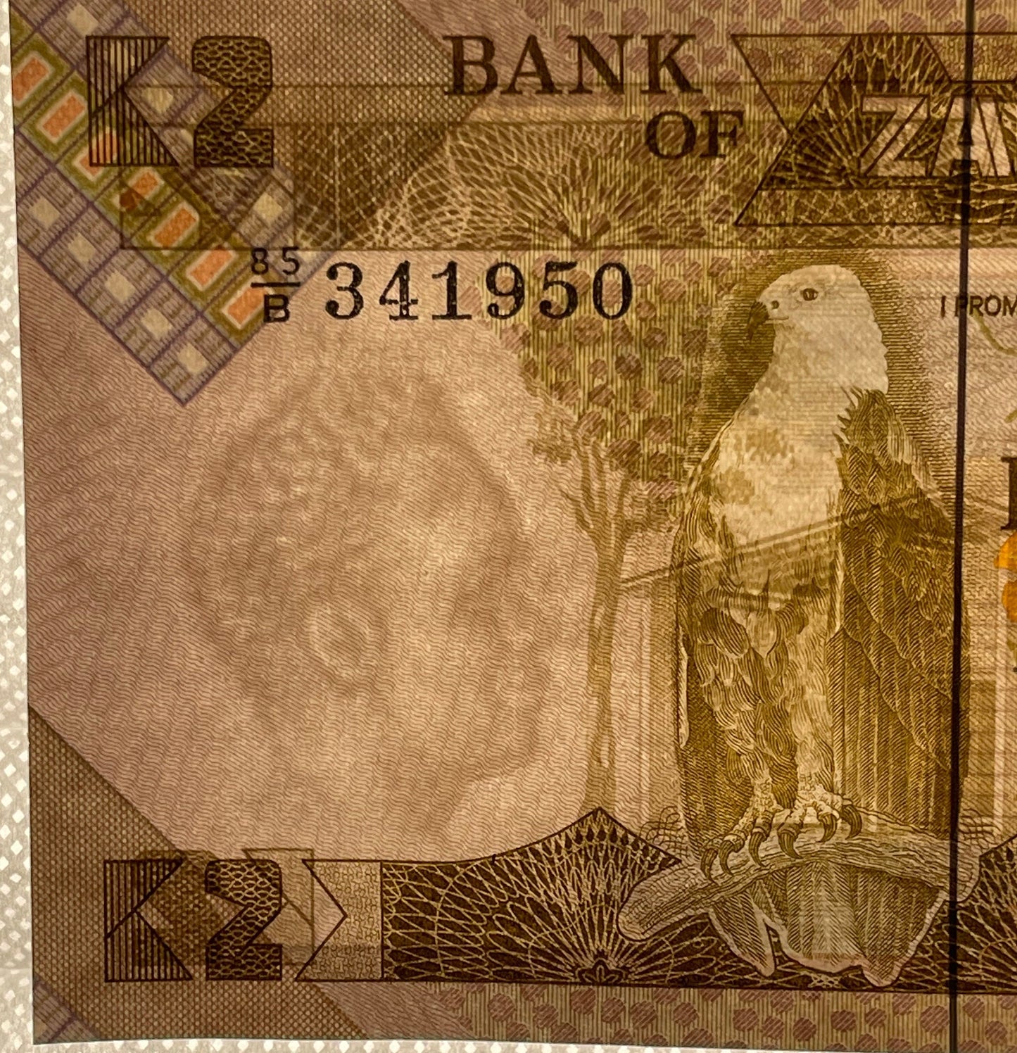 President Kenneth Kaunda and African Eagle & Teacher with Student 2 Kwacha Zambia Authentic Banknote Money for Jewelry and Collage (Kwanzaa)