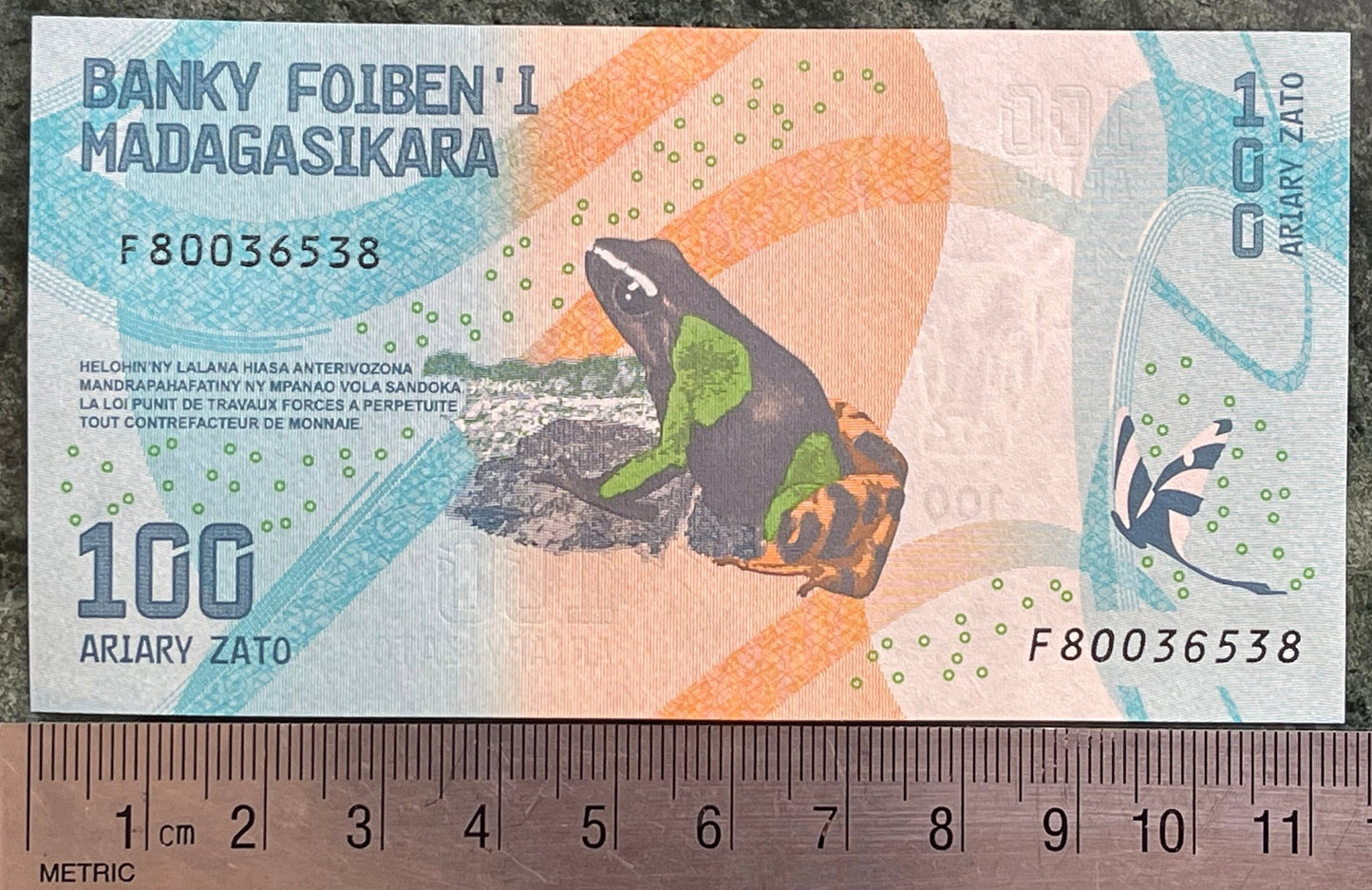 Madagascar Poison Frog & Ambozontany Cathedral 100 Ariary Authentic Banknote Money for Jewelry and Collage (2017) (Zebu) (Fianarantsoa)