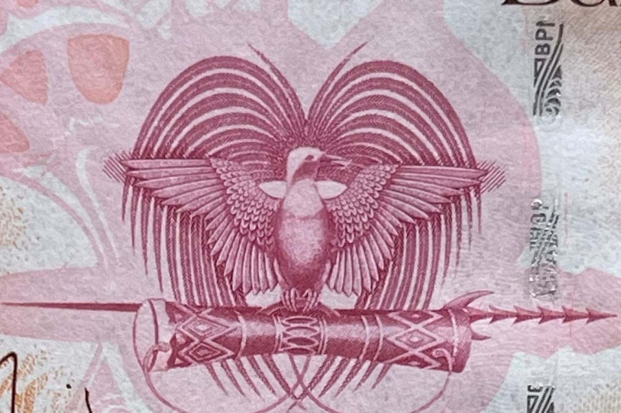 Wild Boar Head & National Parliament House 20 Kina Papua New Guinea Authentic Banknote Money for Jewelry and Collage (Capitalist Pig)