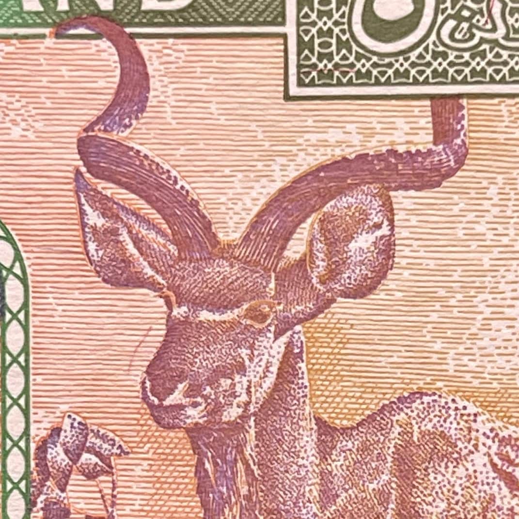 Nomad Camel Caravan, Kudu & Goodrika Supreme Court Building 5 Shillings Somaliland Authentic Banknote Money for Collage (Dromedary)