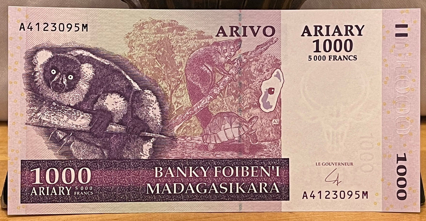 Lemur, Aye-aye, Tortoise, Zebu 1000 Ariary Madagascar Authentic Banknote Money for Jewelry and Collage (Sisal) (Cactus) (Ruffed Lemur) 2004