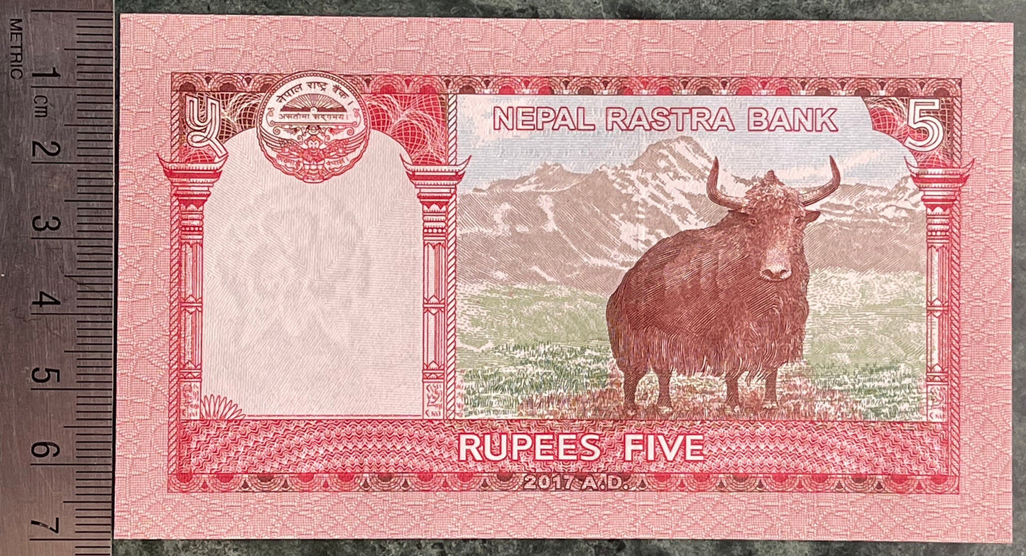 Wild Yak, Mount Everest, Kasthampandap Temple & Rhododendron 5 Rupees Nepal Authentic Banknote Money for Jewelry and Collage (Sagarmāthā)