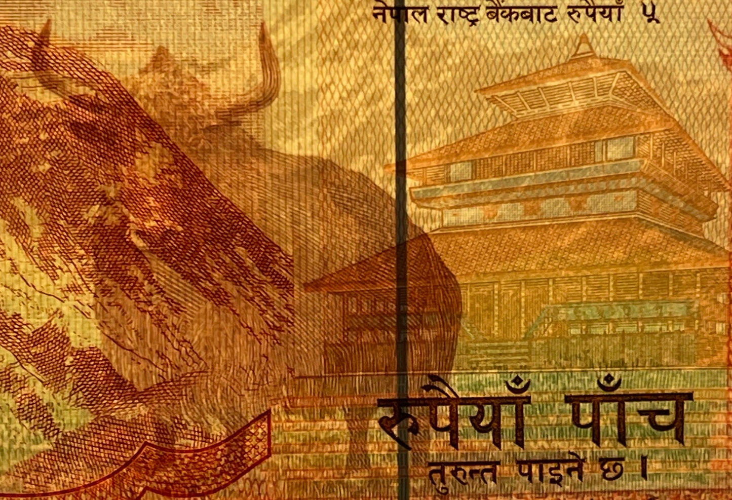 Wild Yak, Mount Everest, Kasthampandap Temple & Rhododendron 5 Rupees Nepal Authentic Banknote Money for Jewelry and Collage (Sagarmāthā)