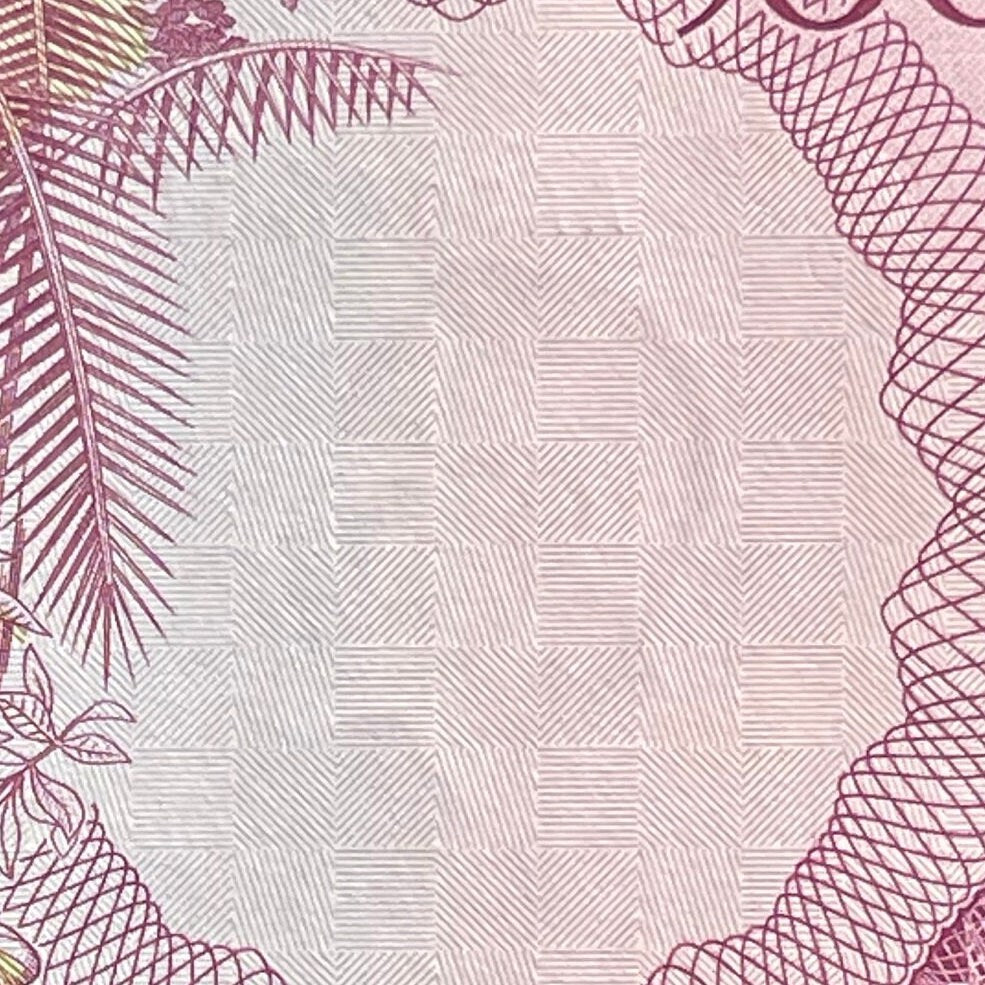 Liberator Rei Amador, Hawksbill Turtle & Waterfall of Praia Pesqueira 500 Dobras São Tomé Authentic Banknote Money (Slave Rebellion) BLM