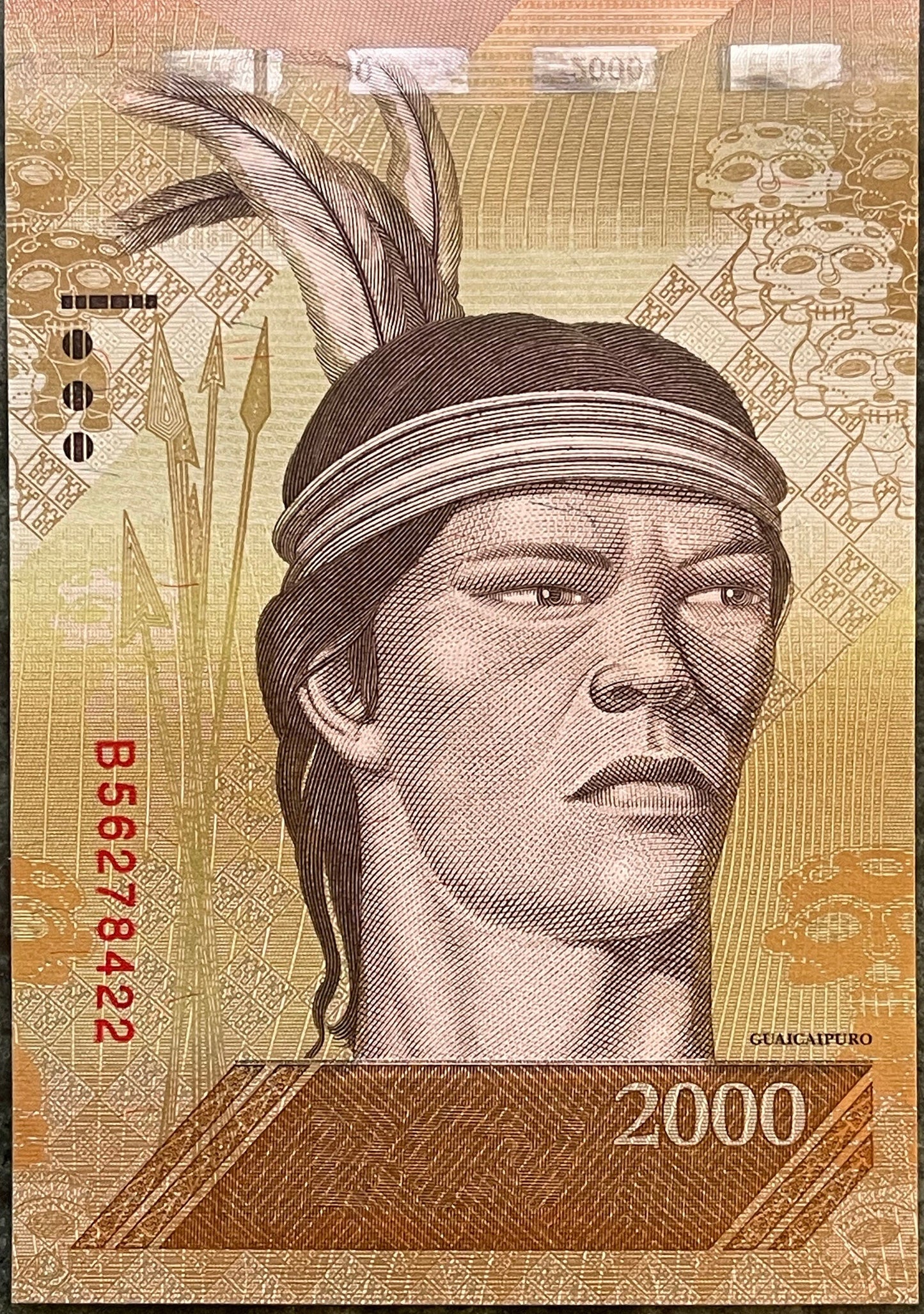Harpy Eagle & Cacique Guaicaipuro 2000 Bolivares Venezuela Authentic Banknote for Jewelry and Collage (Tepuis) 2016 (Indigenous Resistance)