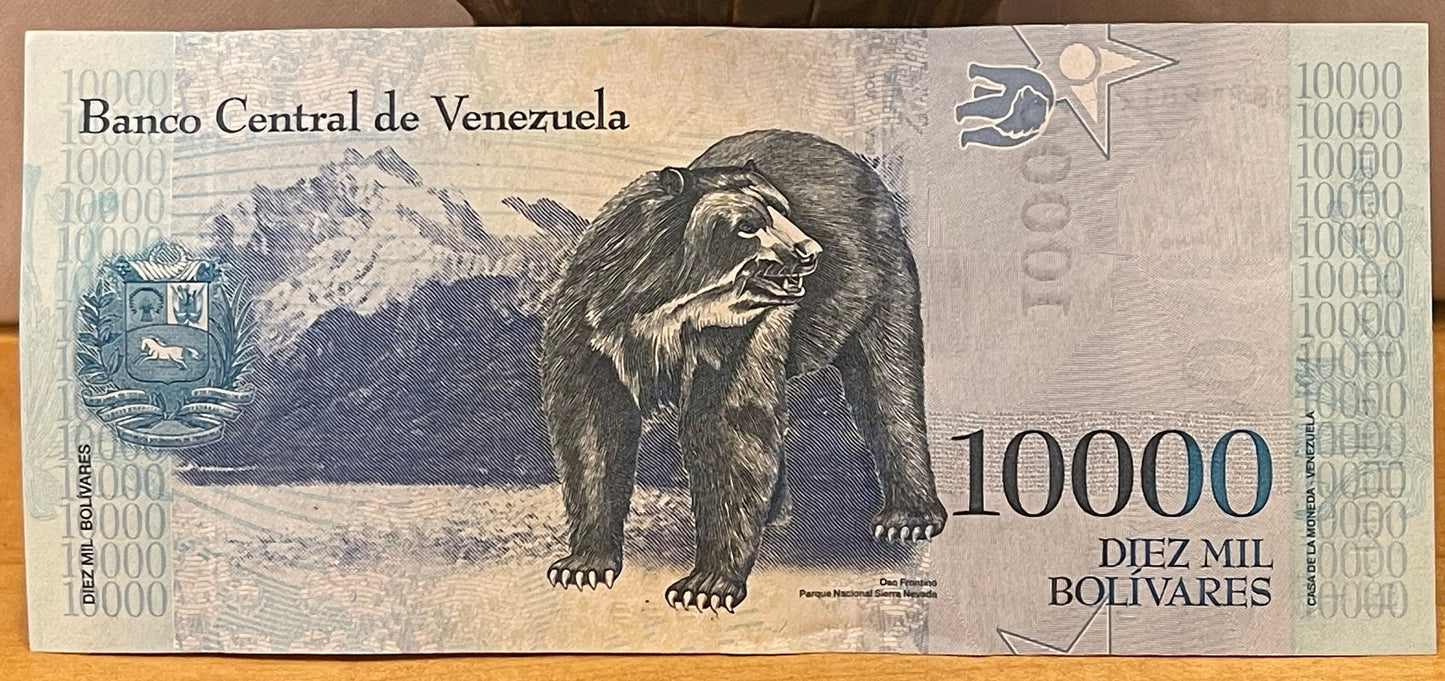 Andean Spectacled Bear & Philosopher Simón Rodríguez 10,000 Bolívares Venezuela Authentic Banknote Money for Jewelry and Collage (Educator)