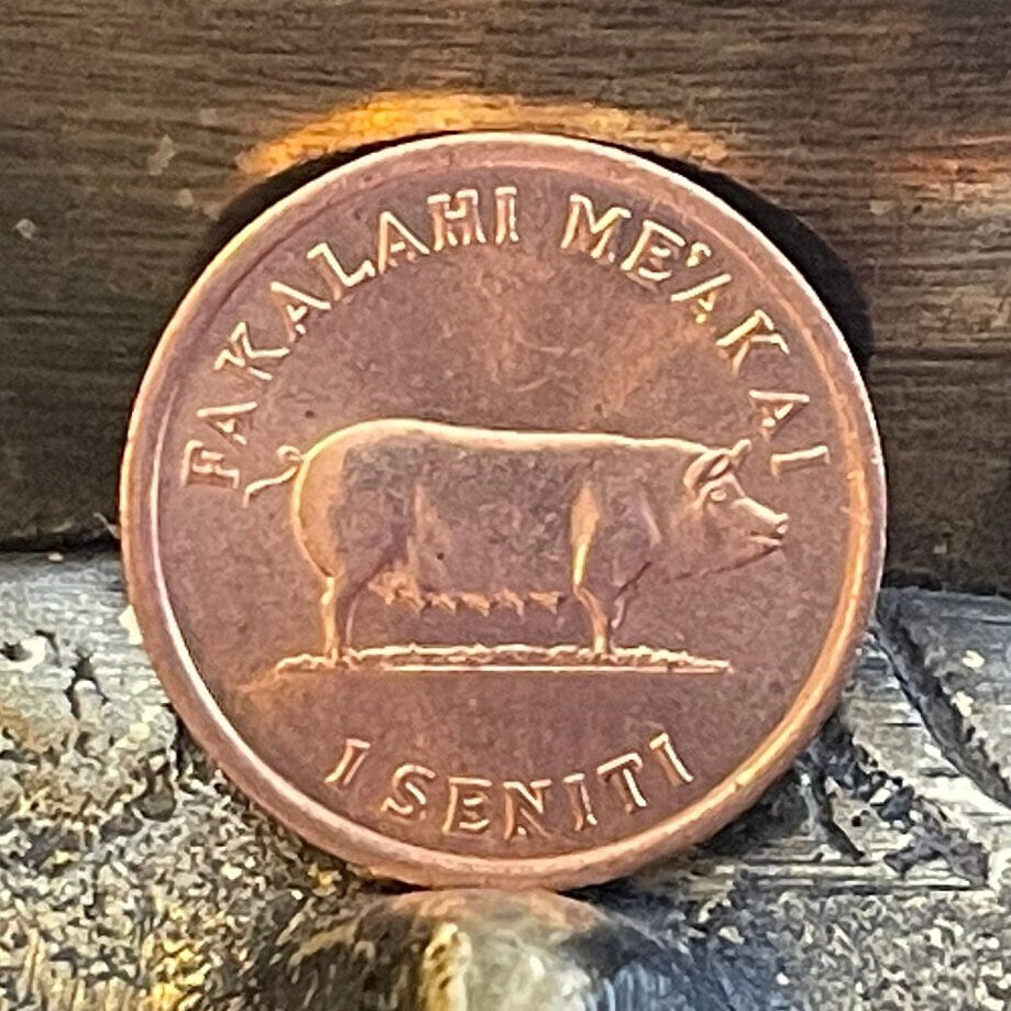 Sow Pig & Ear of Corn 1 Seniti Tonga Authentic Coin Charm for Jewelry and Craft Making (Grow More Food) Fertility Penny (Bacon Ham Pork)
