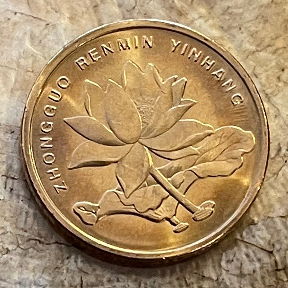Lotus Blossom 5 Jiao China Authentic Coin Money for Jewelry and Craft Making (Enlightenment)