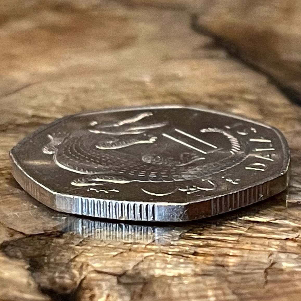 West African Slender-Snouted Crocodile & President Dawda Kairaba Jawara 1 Dalasi Gambia Authentic Coin Money for Jewelry (Heptagonal) 1987