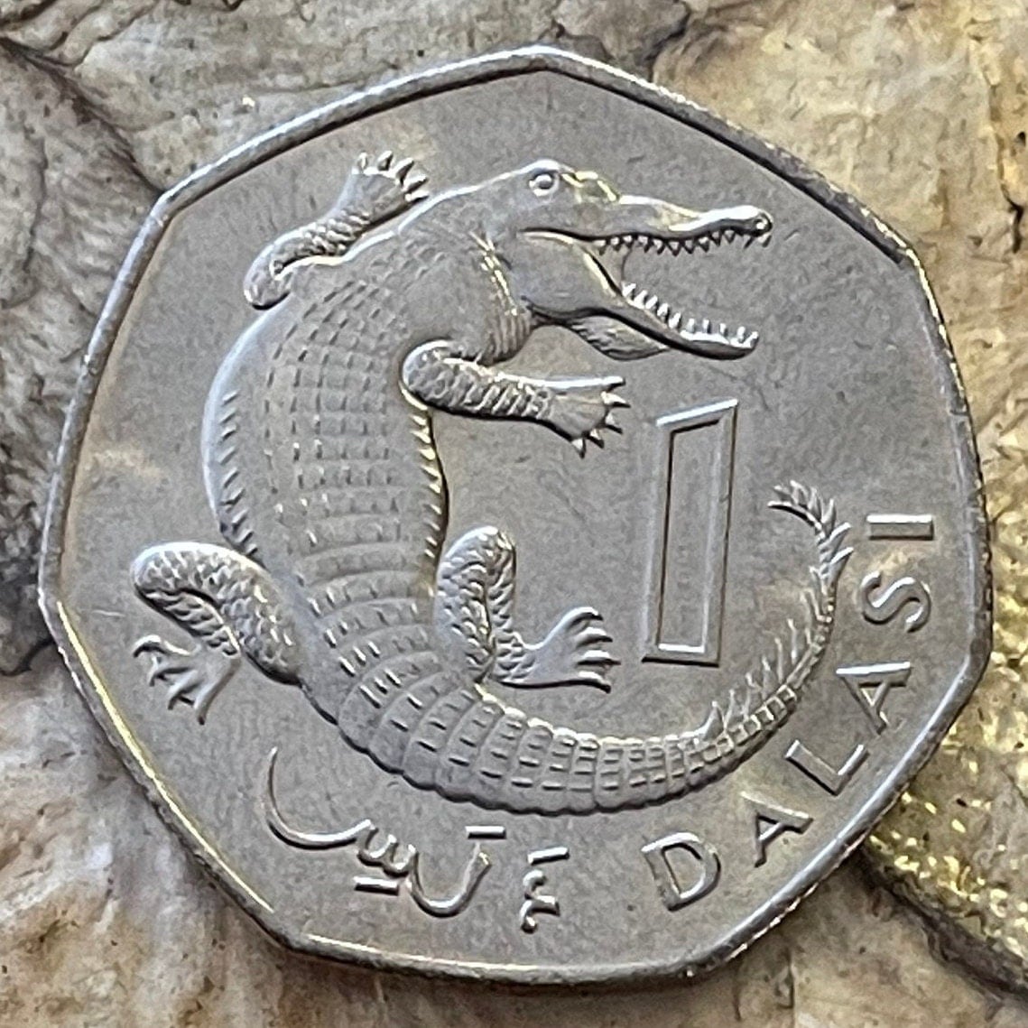 West African Slender-Snouted Crocodile & President Dawda Kairaba Jawara 1 Dalasi Gambia Authentic Coin Money for Jewelry (Heptagonal) 1987