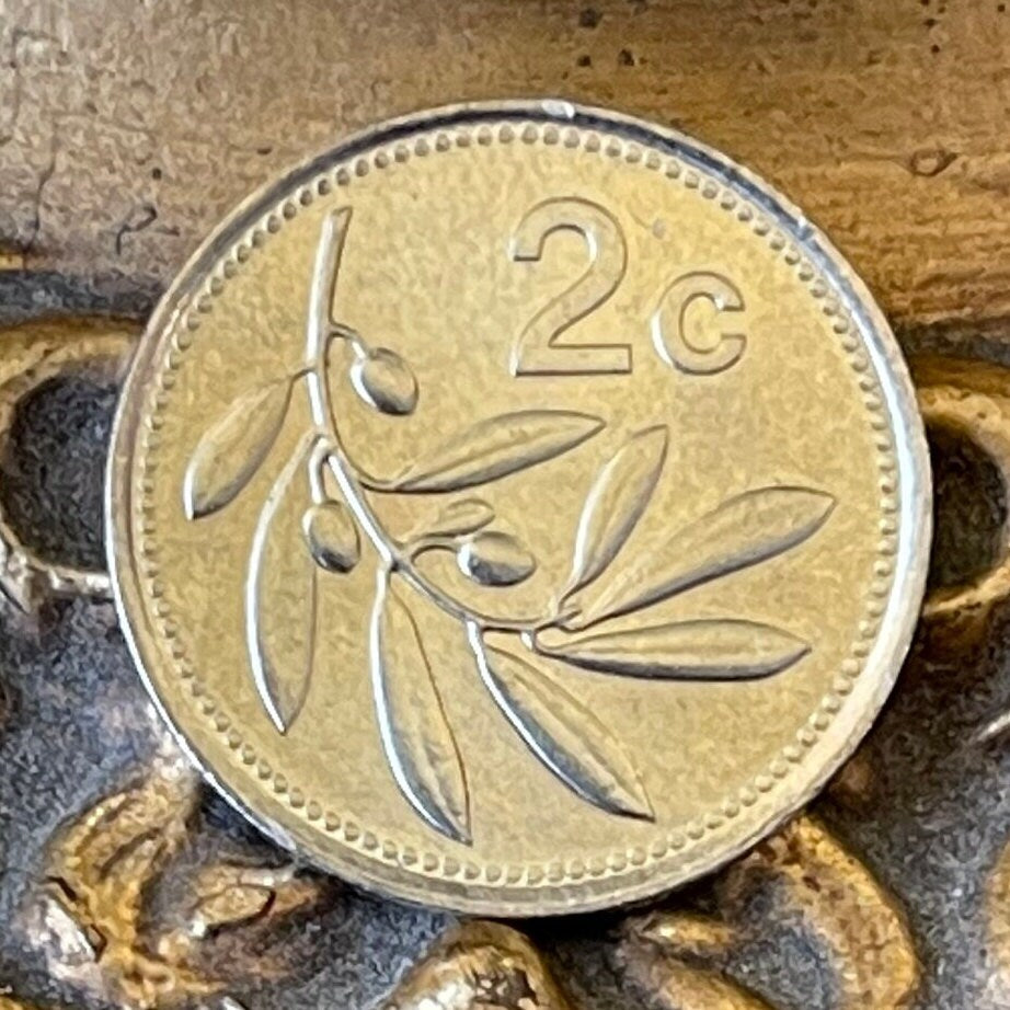 Olive Branch 2 Cents Malta Authentic Coin Money for Jewelry and Craft Making (Peace) (Victory)