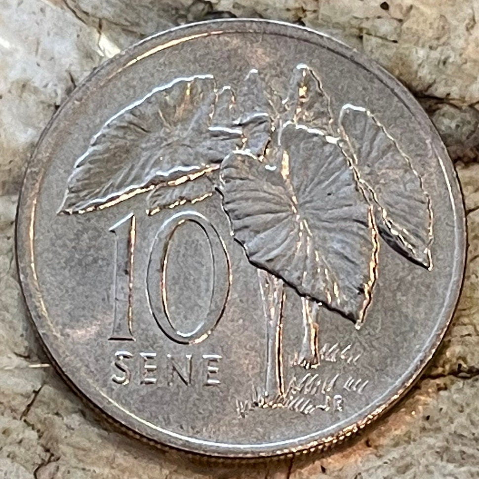 Taro Plant & President-for-Life Malietoa Tanumafili II 10 Sene Samoa Authentic Coin Money for Jewelry and Craft Making