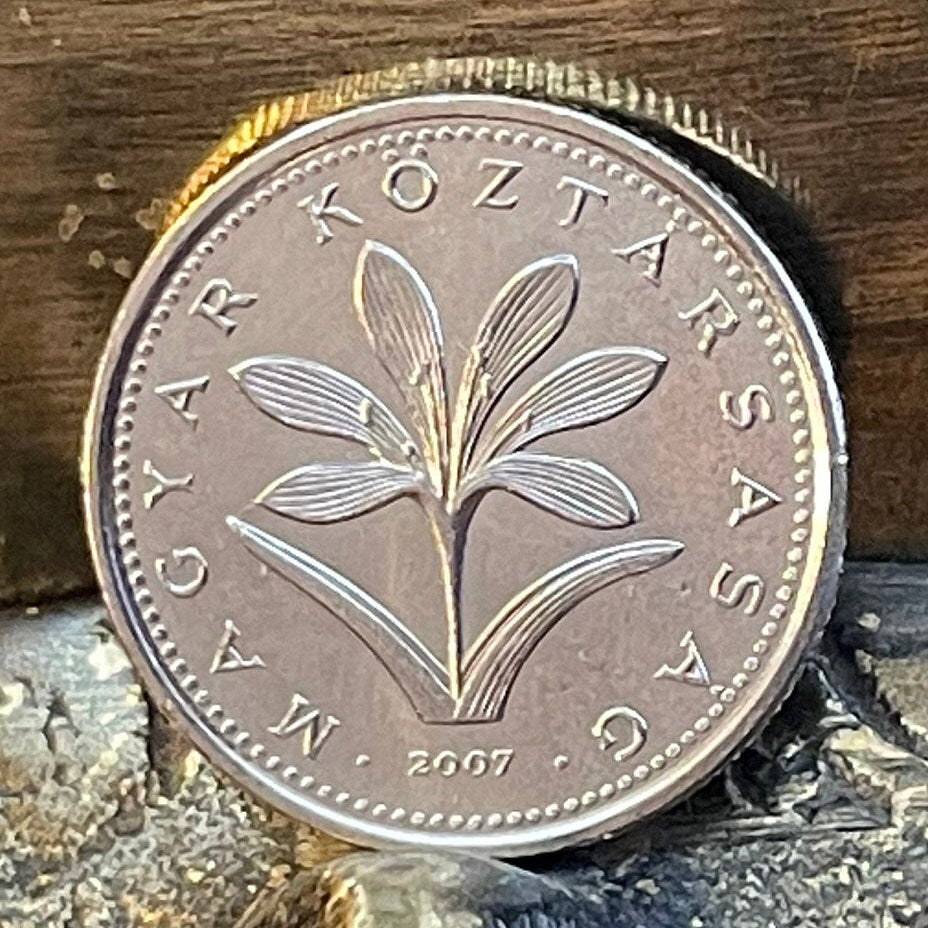 Hungarian Crocus 2 Forint Hungary Authentic Coin Money for Jewelry and Craft Making (Colchicum Hungaricum Janka)