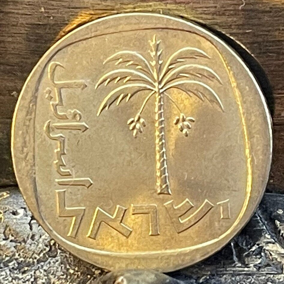 Date Palm 10 Agorot Israel Authentic Coin Money for Jewelry and Craft Making