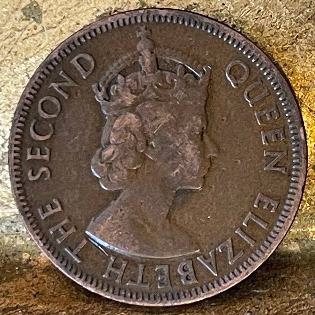 Bronze Age Man Bearing Oxhide Ingot 5 Mils Cyprus Authentic Coin Money for Jewelry and Craft Making (Tudor Crown)