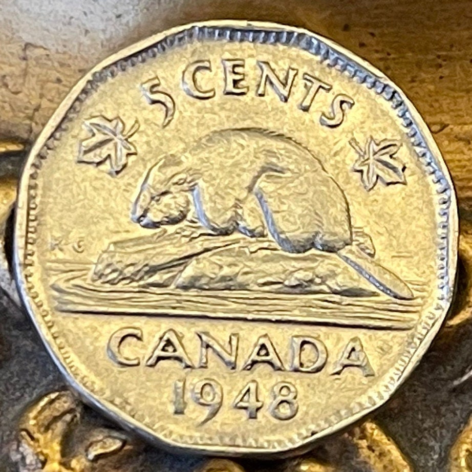 Beaver & King George VI Canada 5 Cents Authentic Coin Money for Jewelry and Craft Making (Condition: Very Fine)