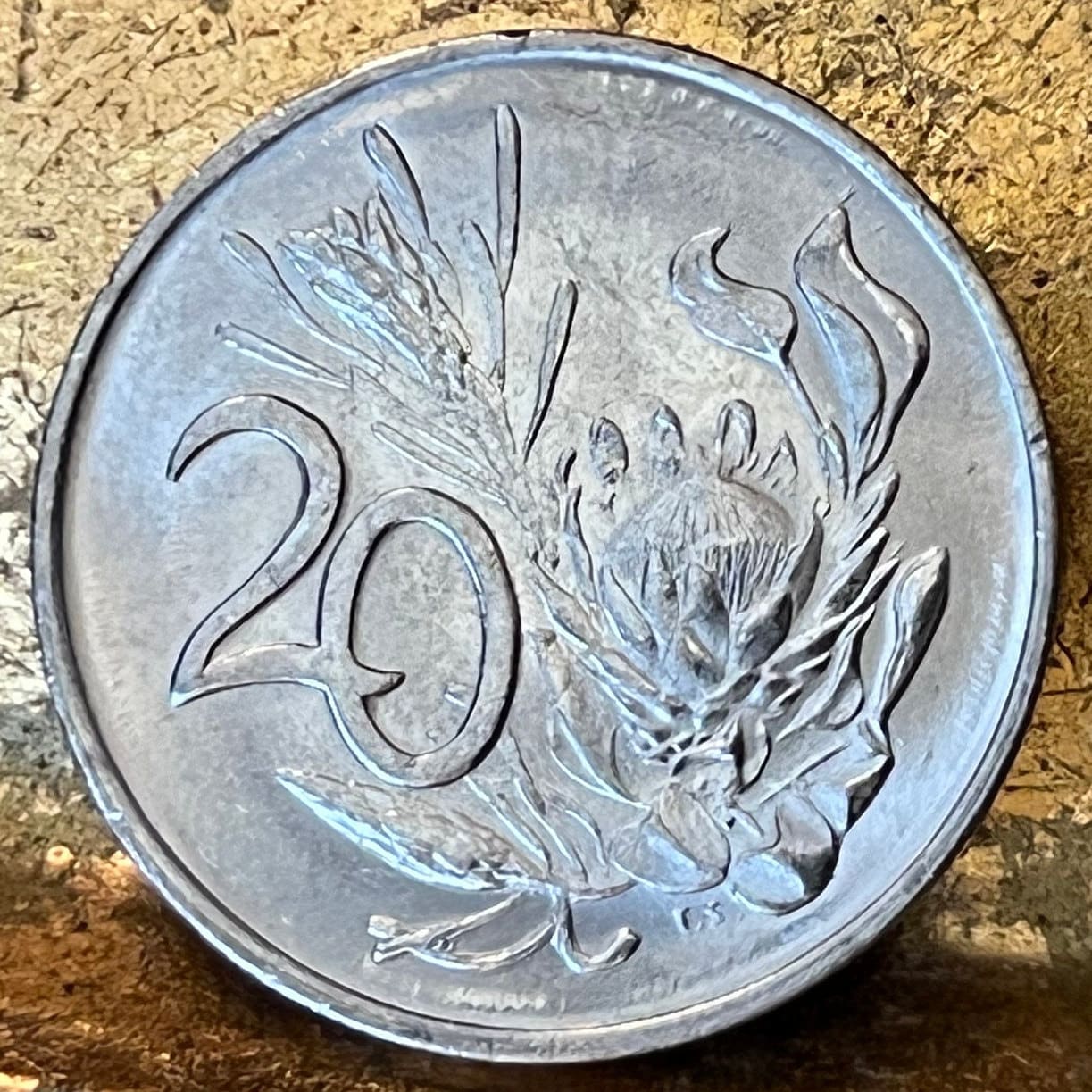 King Sugar Bush 20 Cents South Africa Authentic Coin Money for Jewelry and Craft Making (King Protea) (Power Through Unity)