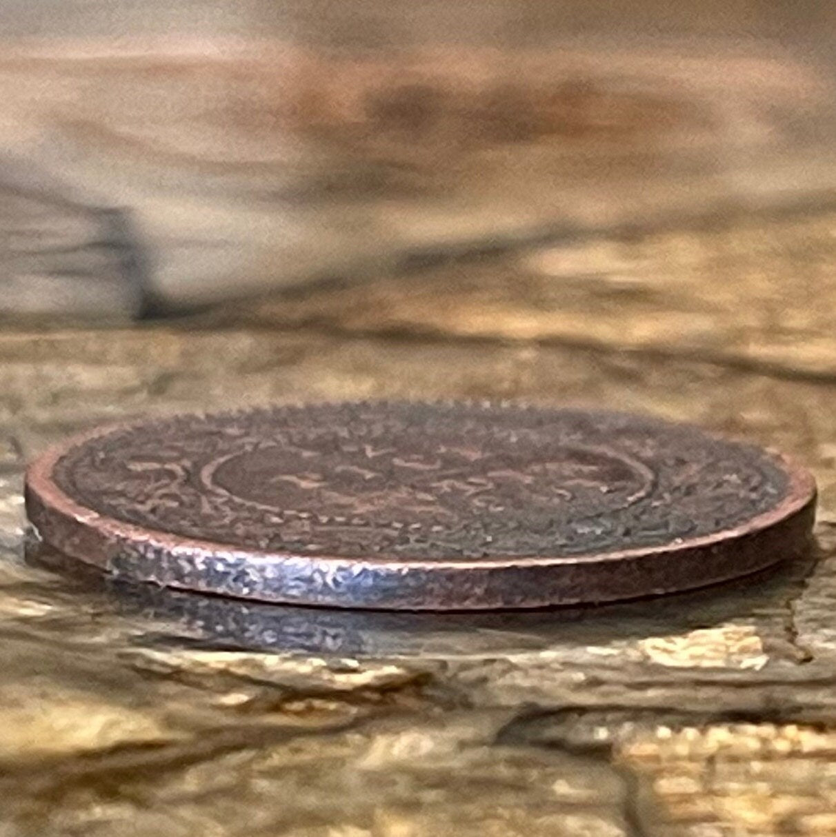 Queen Victoria Empress of India Half Pice British India Authentic Coin Money for Jewelry and Craft Making (British Raj) (Bun Head)