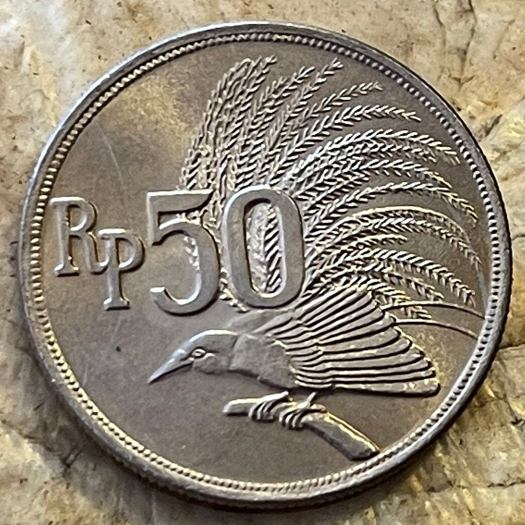 Greater Bird of Paradise 50 Rupiah Indonesia Authentic Coin Money for Jewelry and Craft Making (1971)
