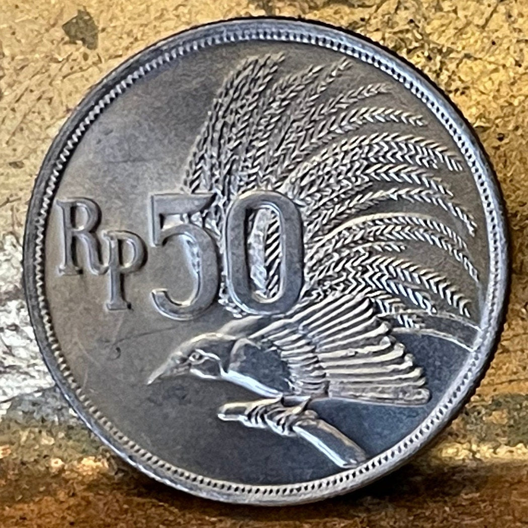 Greater Bird of Paradise 50 Rupiah Indonesia Authentic Coin Money for Jewelry and Craft Making (1971)