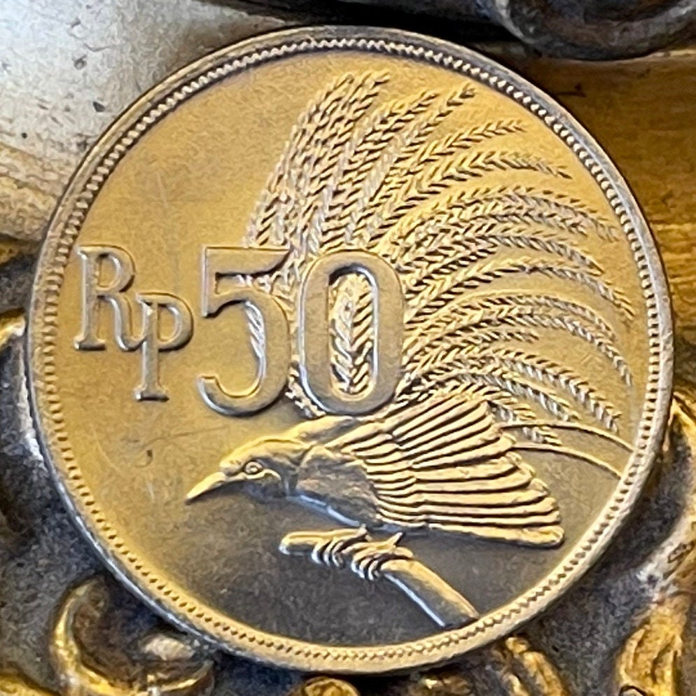 Greater Bird of Paradise 50 Rupiah Indonesia Authentic Coin Money for Jewelry and Craft Making (1971)