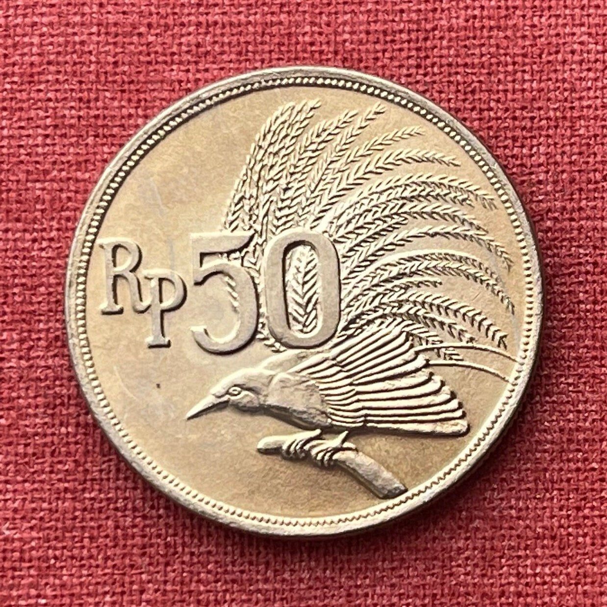 Greater Bird of Paradise 50 Rupiah Indonesia Authentic Coin Money for Jewelry and Craft Making (1971)