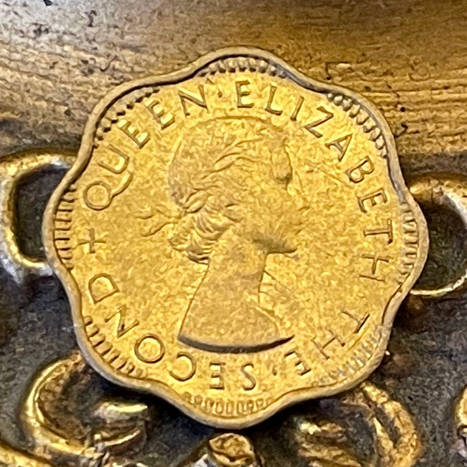 Queen Elizabeth II (Scalloped) 2 Cents Ceylon Authentic Coin Money for Jewelry and Craft Making (Sri Lanka) (First Laureate Bust)
