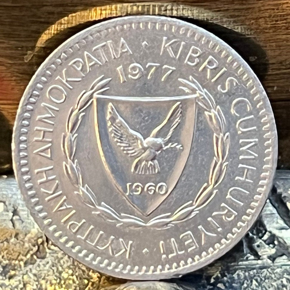 Cedar Cone & Dove with Olive Twig 25 Mils Cyprus Authentic Coin Money for Jewelry and Craft Making (Gilgamesh) (1960) (Pine Cone)