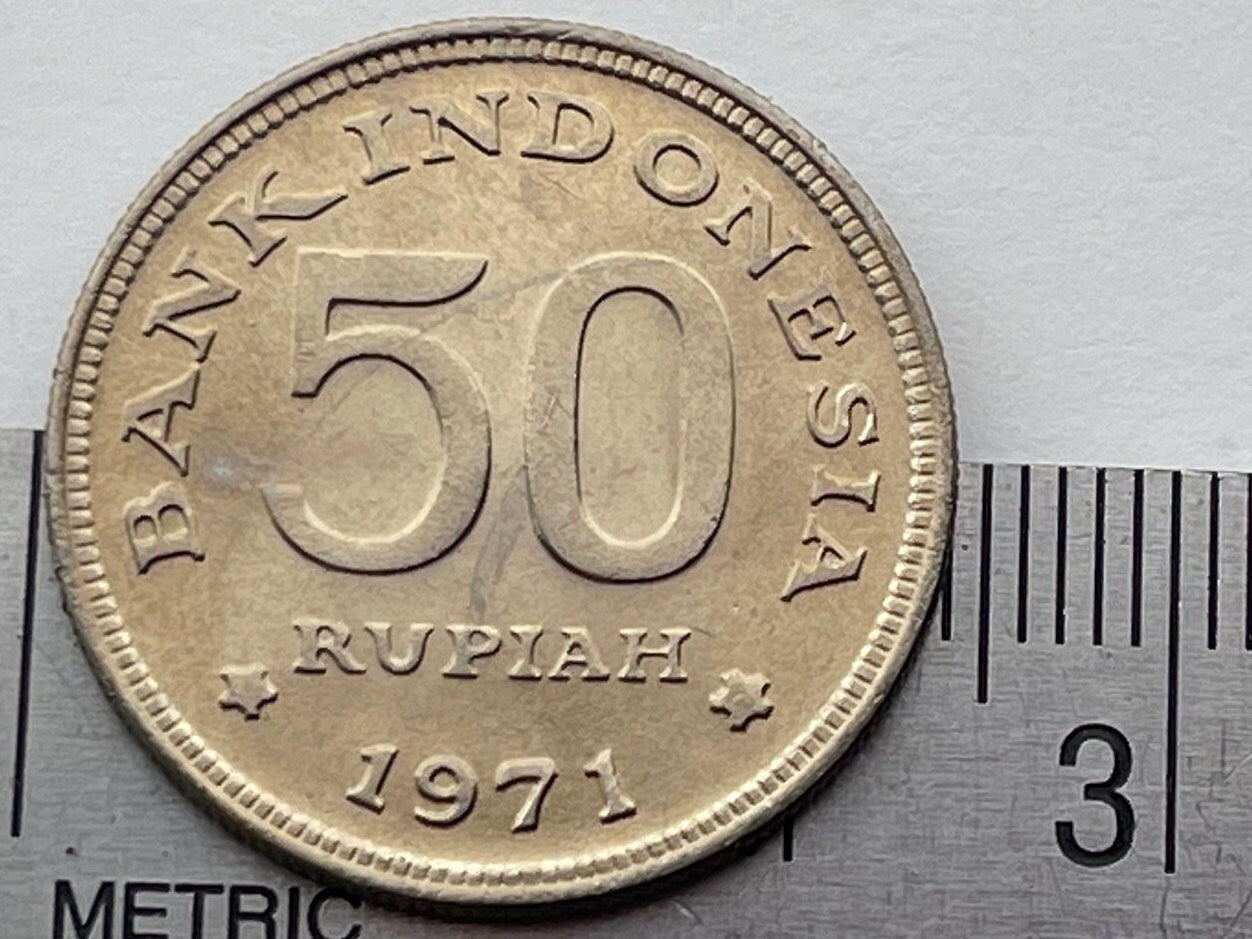 Greater Bird of Paradise 50 Rupiah Indonesia Authentic Coin Money for Jewelry and Craft Making (1971)