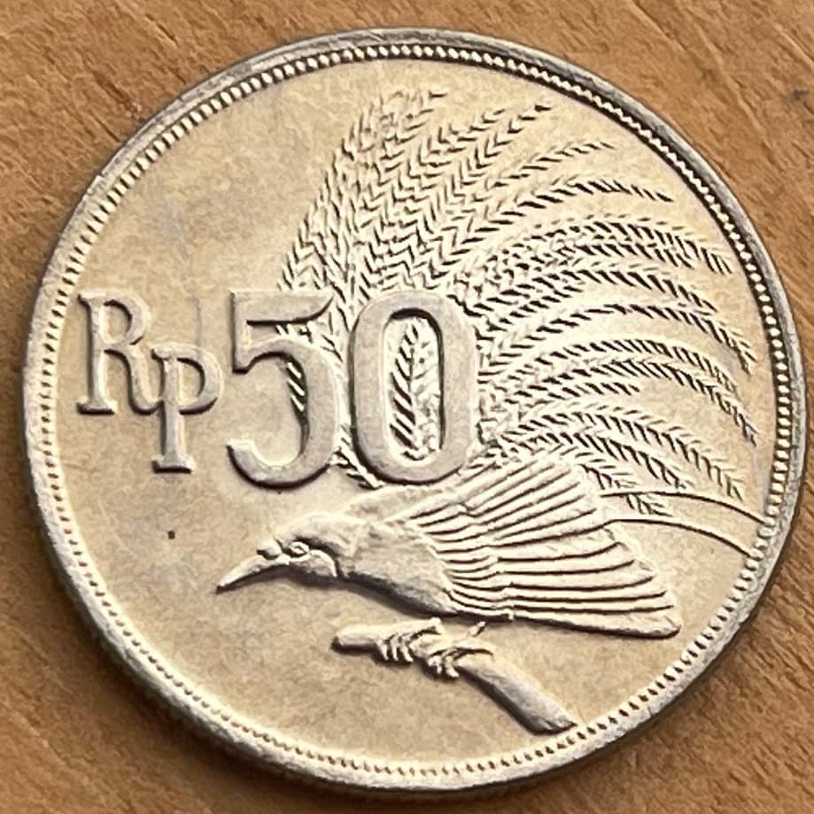 Greater Bird of Paradise 50 Rupiah Indonesia Authentic Coin Money for Jewelry and Craft Making (1971)