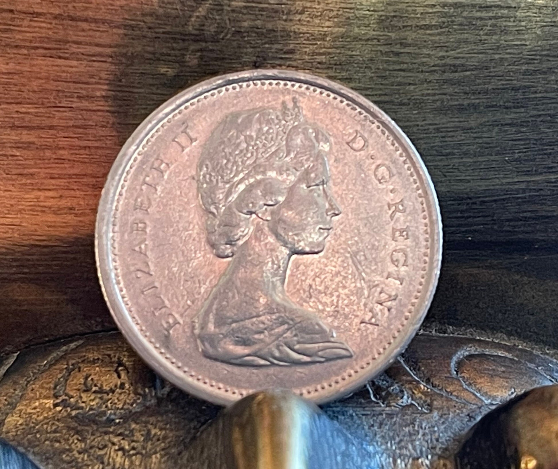 Caribou & Queen Elizabeth Canadian Authentic Coin Money for Jewelry and Craft Making