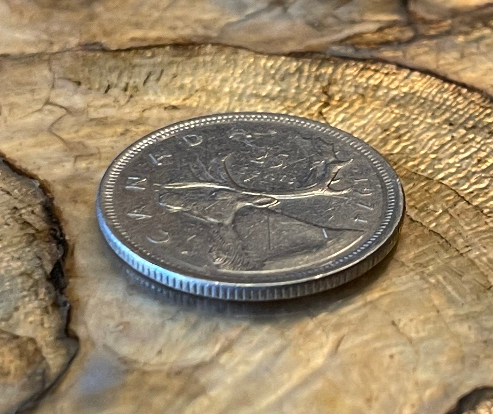 Caribou & Queen Elizabeth Canadian Authentic Coin Money for Jewelry and Craft Making