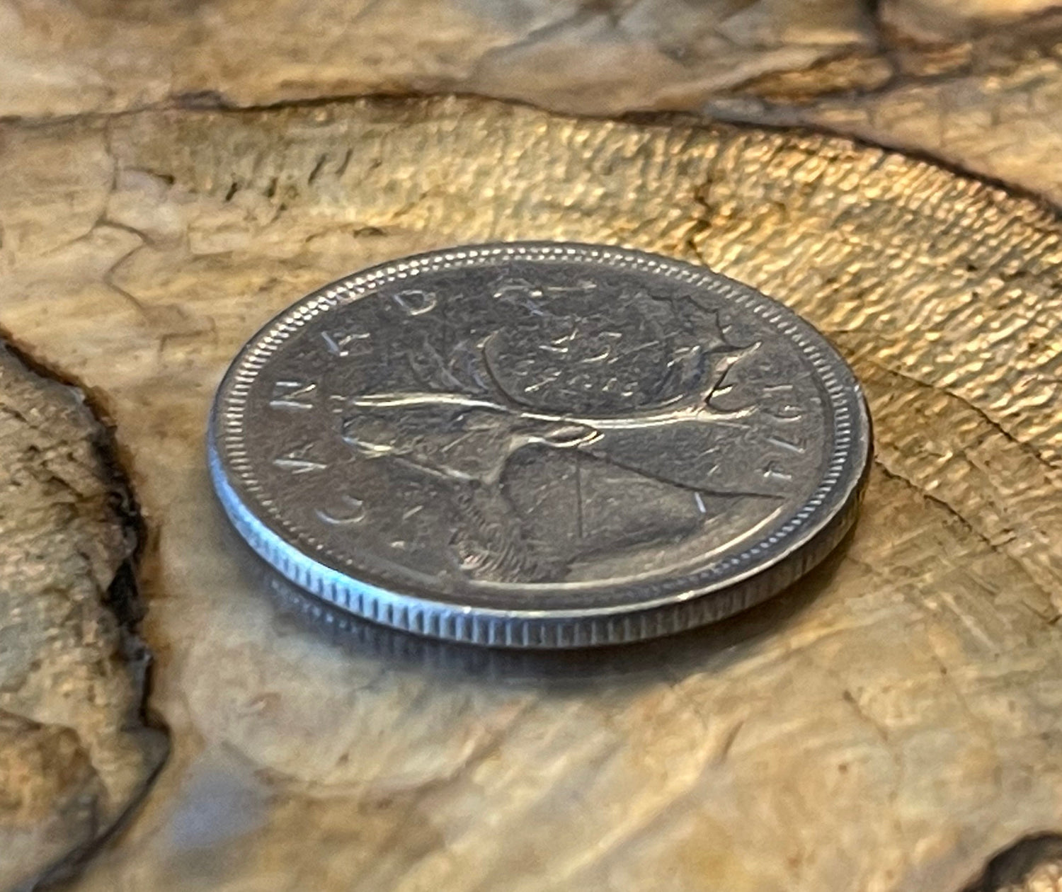 Caribou & Queen Elizabeth Canadian Authentic Coin Money for Jewelry and Craft Making