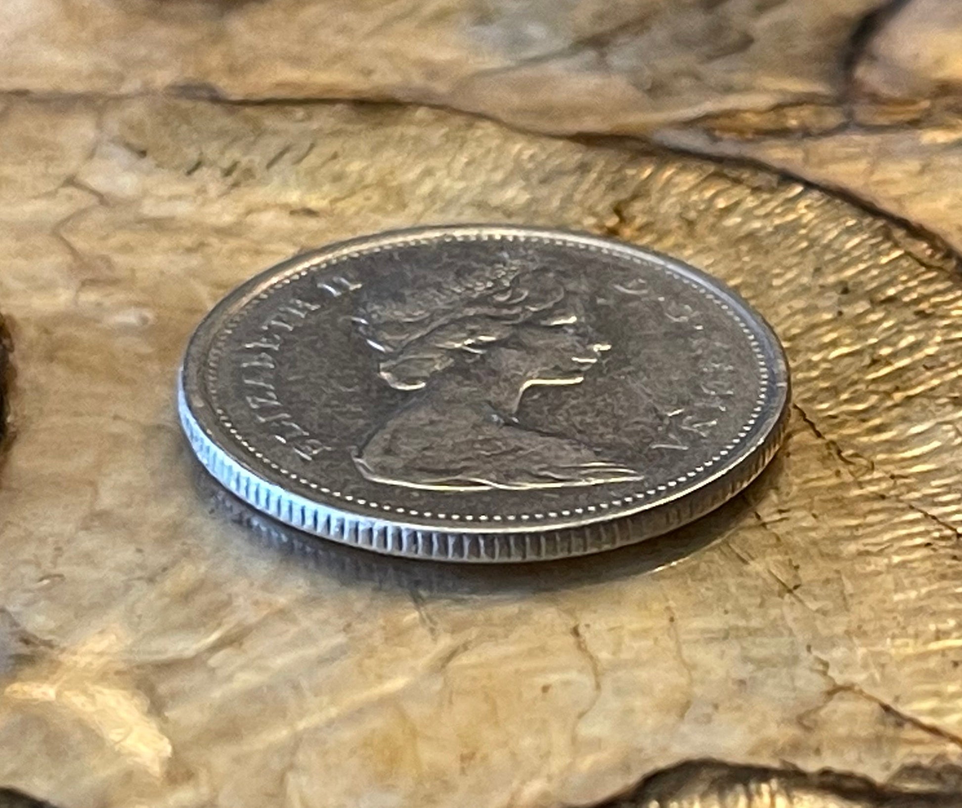 Caribou & Queen Elizabeth Canadian Authentic Coin Money for Jewelry and Craft Making