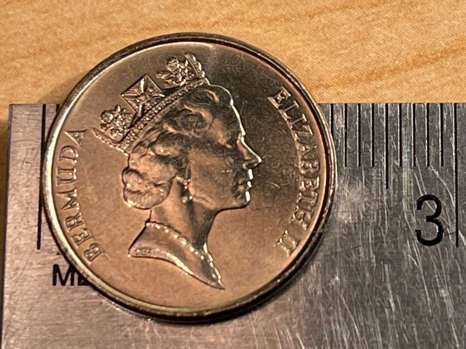 Angelfish & Queen Elizabeth Bermuda Authentic Coin Money for Jewelry and Craft Making