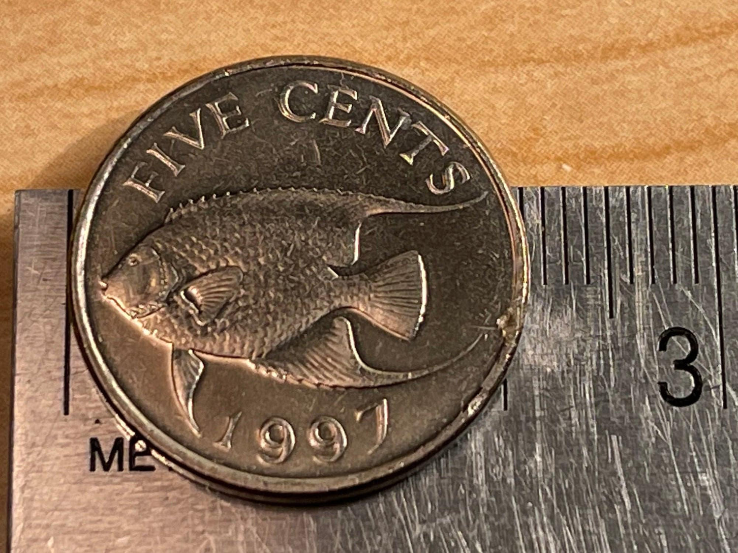 Angelfish & Queen Elizabeth Bermuda Authentic Coin Money for Jewelry and Craft Making