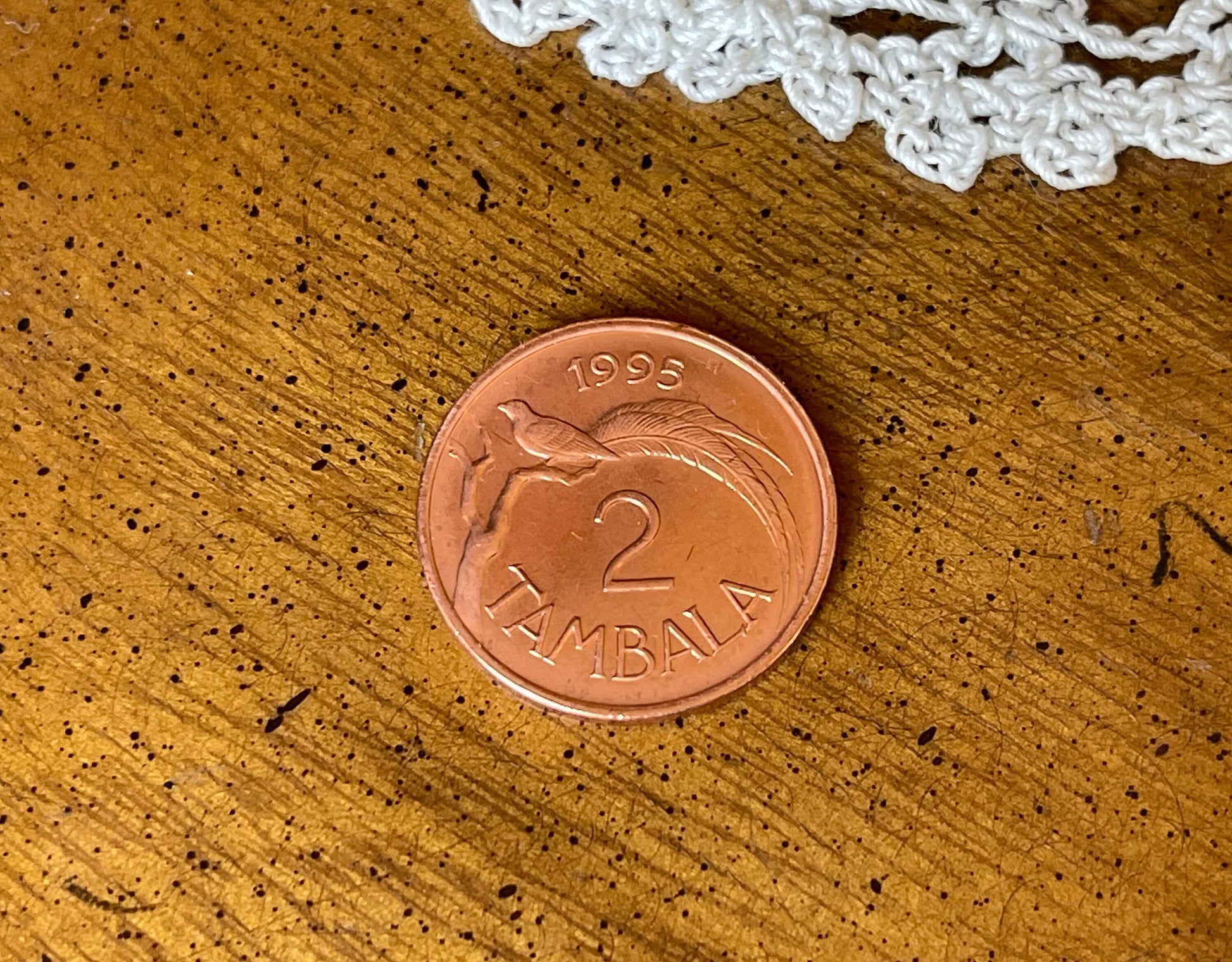 Paradise Whydah Bird 2 Tambala Malawi Authentic Coin Money for Jewelry and Craft Making
