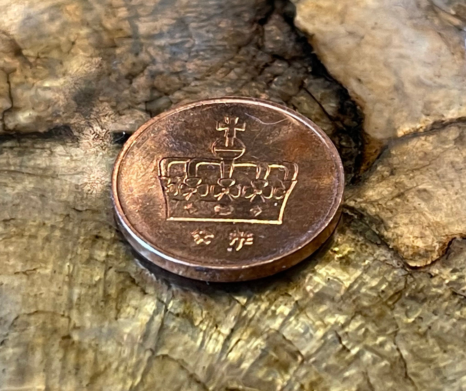 Nidhogg Dragon & Crown Norwegian Authentic Coin Money Øre for Jewelry and Craft Making