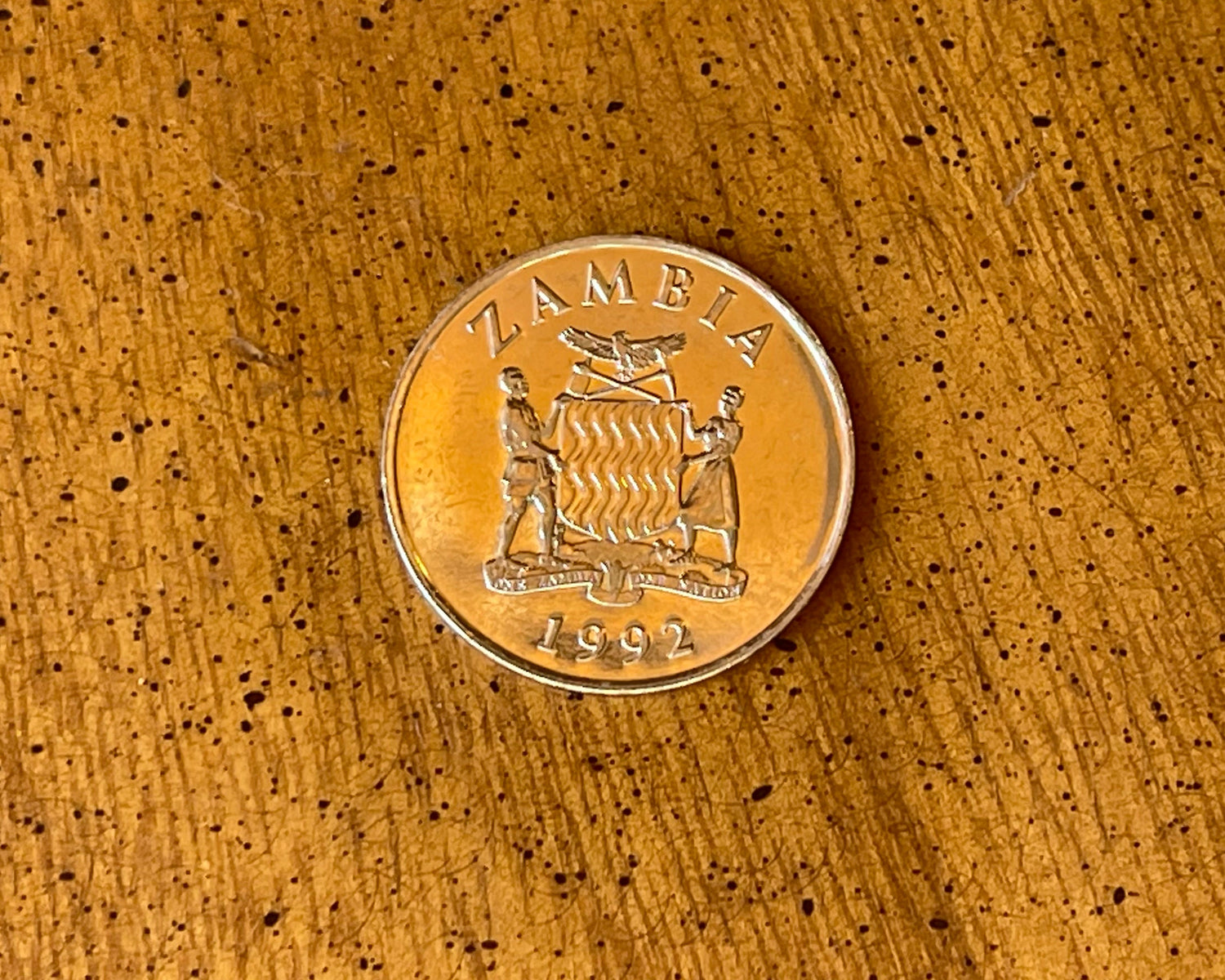 Hornbill 25 Ngwee Zambia Authentic Coin Money for Jewelry and Craft Making
