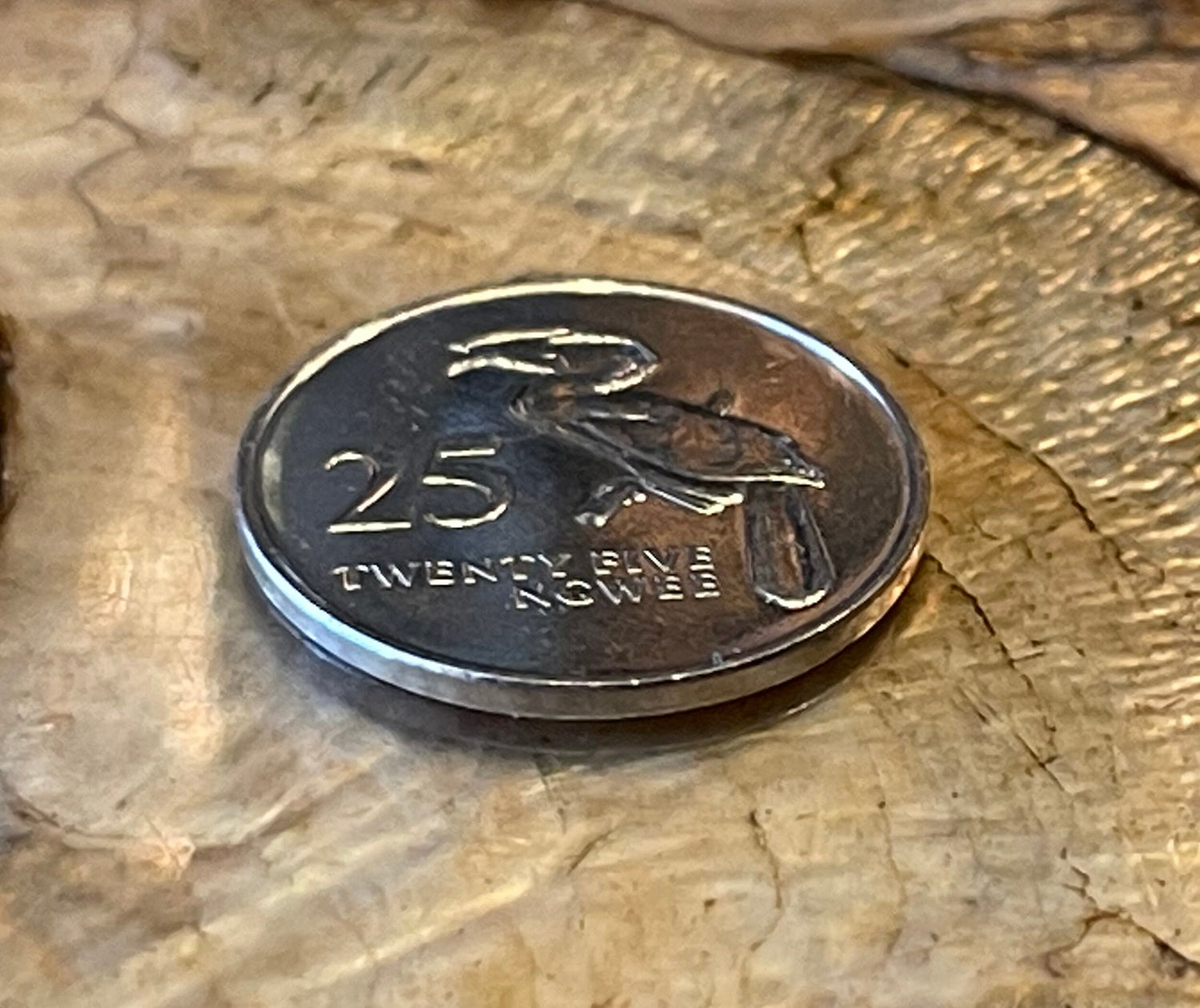 Hornbill 25 Ngwee Zambia Authentic Coin Money for Jewelry and Craft Making